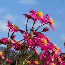 거제식물원 이미지