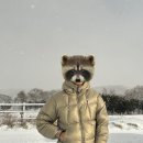 강남-060 | Goldwin 골드윈 패딩 퍼텍스 퀀텀 다운 파카 오크베이지 착용 후기