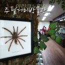 주필거미박물관 이미지