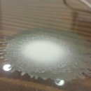 바디스트 이미지