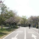 일산비타민의원 이미지