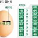 시온농장 이미지