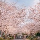 회원세탁 이미지