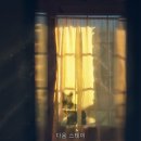 다옴스테이 | 다옴 스테이 직접 다녀온 솔직 후기