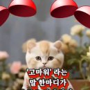 한마디