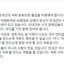 이수진 당선자 페이스북 시각장애인 안내견 출입 허용해야 이미지