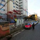 역곡로20번길 Daum카페
