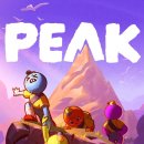 플레이pc | [PC] PEAK 피크 플레이 후기