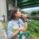 태풍액션스쿨 | [공지] 8월 첫째 주 주간 일기: 일주일 영월에서 합숙 교육 중~💚 #코이카