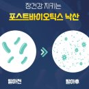 대한열처리 | 열처리유산균 먹는 방법 장기간 후기 장단점