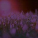 경산온천 이미지