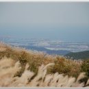 큰마음목장 이미지