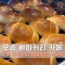 여기;소금빵 | 오송 베이커리카페 여기오송 소금빵 맛집 직접 다녀온 후기