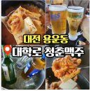 대전대학교 | 대전 용운동 대학로청춘맥주 방문 후기 가성비 맛집