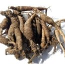 승제한의원 이미지