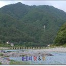 합강민박 이미지