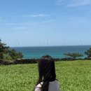 소다라타이니하우스