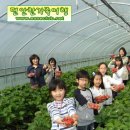 세진목장 이미지