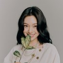 모조에스핀 카카오 검색결과