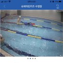 슈퍼마린 어린이 수영장 이미지