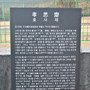 노한묘와 신도비 이미지