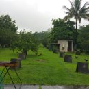 돈필농장 이미지