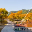 대강생활체육공원 이미지