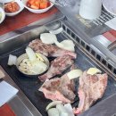 램랜드 | 마포 램랜드 예약 양갈비 맛집 콜키지 주차 후기