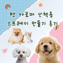 반려동물을 위한 천연아로마제품 원데이 클래스 | [🐶반려동물 문화축제] 아로마 펫 스프레이 만들기 후기