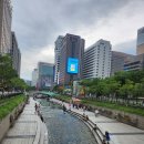 낙원라이브 | 서울 라이브재즈바 천년동안도 낙원본점 공연시간 정보 / 방문후기 라이브공연 감상 / 페퍼로니피자 후기