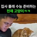 하냥
