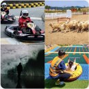 원터목장 이미지