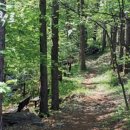 가리산자연휴양림 이미지