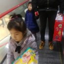 (주)도우찌