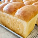 아침빵 스튜디오 이미지