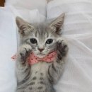 나이스 골프 이미지