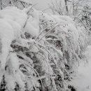 윤성농장 이미지