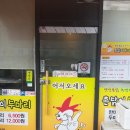 촌닭이두마리