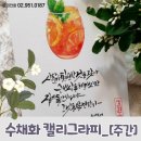 수채화 캘리그라피(주간) 이미지