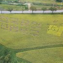 쌀문화관 이미지