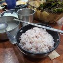 춘천인닭갈비 네이버블로그