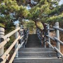 불광중학교 이미지