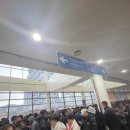 당당케이크 | 크리스마스 성심당 딸기설기 케이크 웨이팅 후기