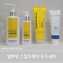 듀오헤어 | 봄 맞이 헤어케어 셀투덤 스칼프케어 듀오 두피 샴푸 토닉
