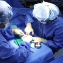 월곡순정형외과의원 | 고양 정형외과 추천? 방문 전 기억해야 할 2가지