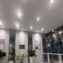 맑은눈 동물병원 | 대전강아지안과 찾다가 결국 맑은눈동물병원으로, 원인 찾았습니다
