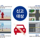 주정차금지 지정 이미지