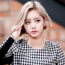 소풍라이브 이미지