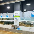 수원-1577 이미지