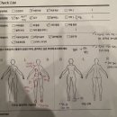 에스핏(S fit) 네이버블로그
